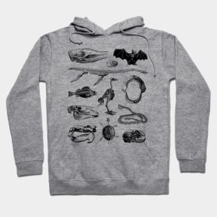 Animal Bones Hoodie